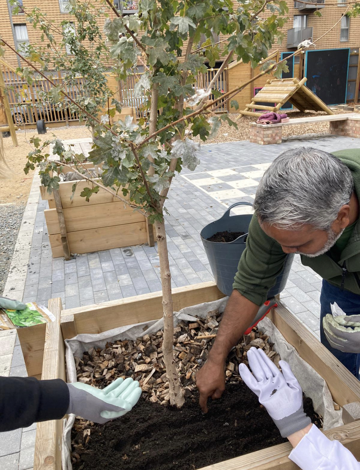 Volunteers planting